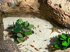 -珠海长隆海洋王国