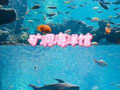 -长鹿旅游休博园