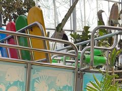 -南宫五洲植物乐园