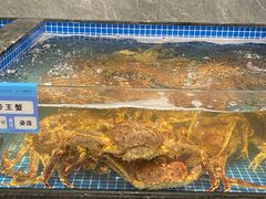 -东海怡品海鲜豆捞(舟宿夜江店)