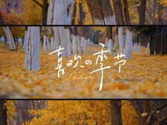 -沈阳市东陵公园