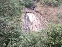 -广州白江湖森林公园