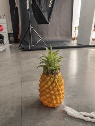 -童影世家儿童摄影(梨园店)