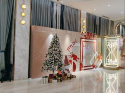 -深圳美莱医疗美容医院