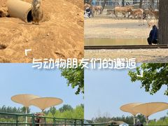 -秦皇岛野生动物园