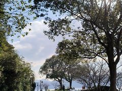 -东钱湖旅游度假区