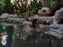 -泉眼温泉