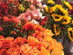 -植物学家的女儿(北马道巷店)