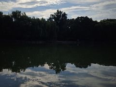 -团结湖公园