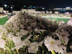 -莫子山公园