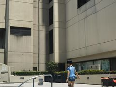 -上海波特曼丽思卡尔顿酒店
