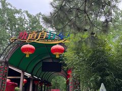 -合肥滨湖国家森林公园