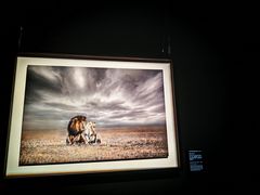 -罗红摄影艺术馆