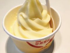 苹果雪芭-麦当劳(浦珠路得来速店)