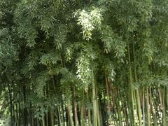 -东坡赤壁风景名胜区