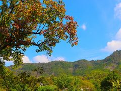 -塔川景区