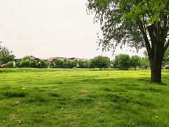 -林栖谷森林康养度假区