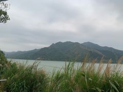 -羚羊峡古栈道森林公园