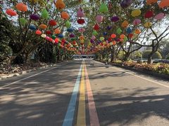 -东南花都花博园