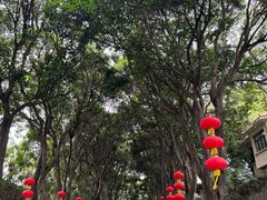 -厦门悦华酒店