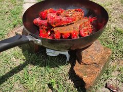 -合肥滨湖国家森林公园