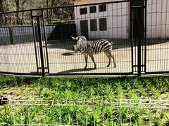 -保定市动物园