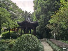 -十八棵（老龙井）御茶园(老龙井店)