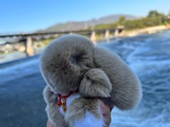 -永定河休闲森林公园