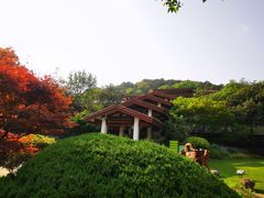 -中国茶叶博物馆(双峰馆区)