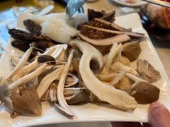 菌菇拼盘-蘑统田下·野生菌火锅