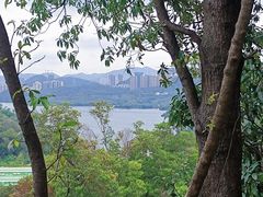 -深圳仙湖植物园