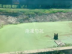 -上海野生动物园