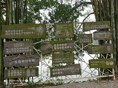 -老木棉·匠园