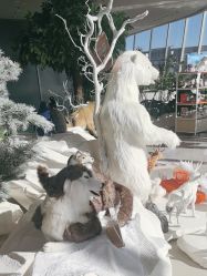 -IMON·HANSA潮玩玩偶毛绒玩具(通州万象汇店)