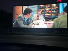 -枫花园汽车电影院(朝阳公园店)