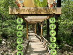 -大岭沟猕猴桃谷风景区