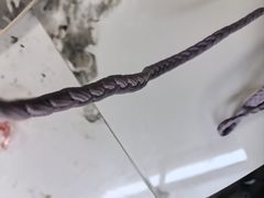 -三姐妹·海鲜大排档