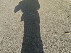 -南宁市凤岭儿童公园