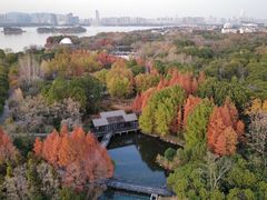 -长广溪湿地公园