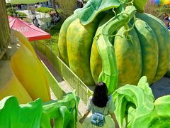 -水上乐园·欢乐世界