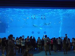 -汉堡王(海昌海洋公园店)