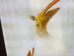 -徽三说·土徽菜·中国徽菜连锁品牌(一中店)