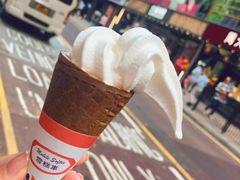 -富豪雪糕车流动点(尖沙咀店)