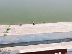 -绿堤公园