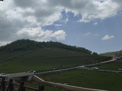 -关山草原