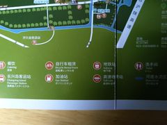 -上海长兴岛郊野公园