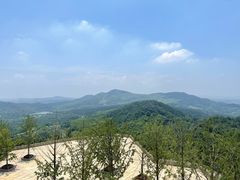 -牛首山文化旅游区