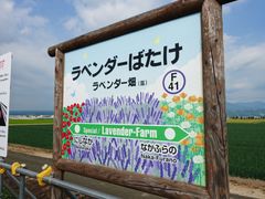 -富田农场