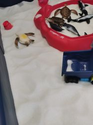 点击看大图 -超级奈尔宝SUPER NEOBIO(杭州星光店)