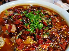-老姑砂锅·烧烤天津菜(体北道店)
